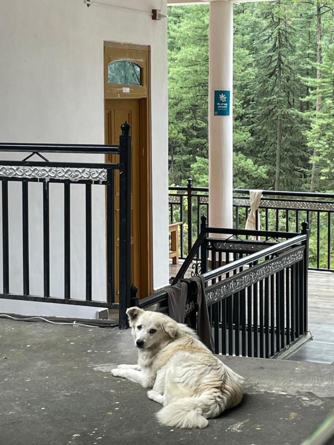 Wabi Sabi Riverside Hostel Kasol Exterior foto